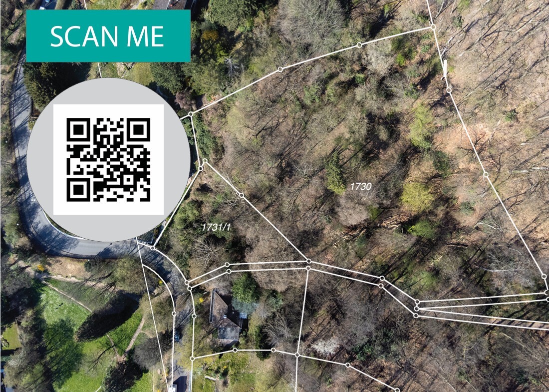 Titelbild Panoramastraße