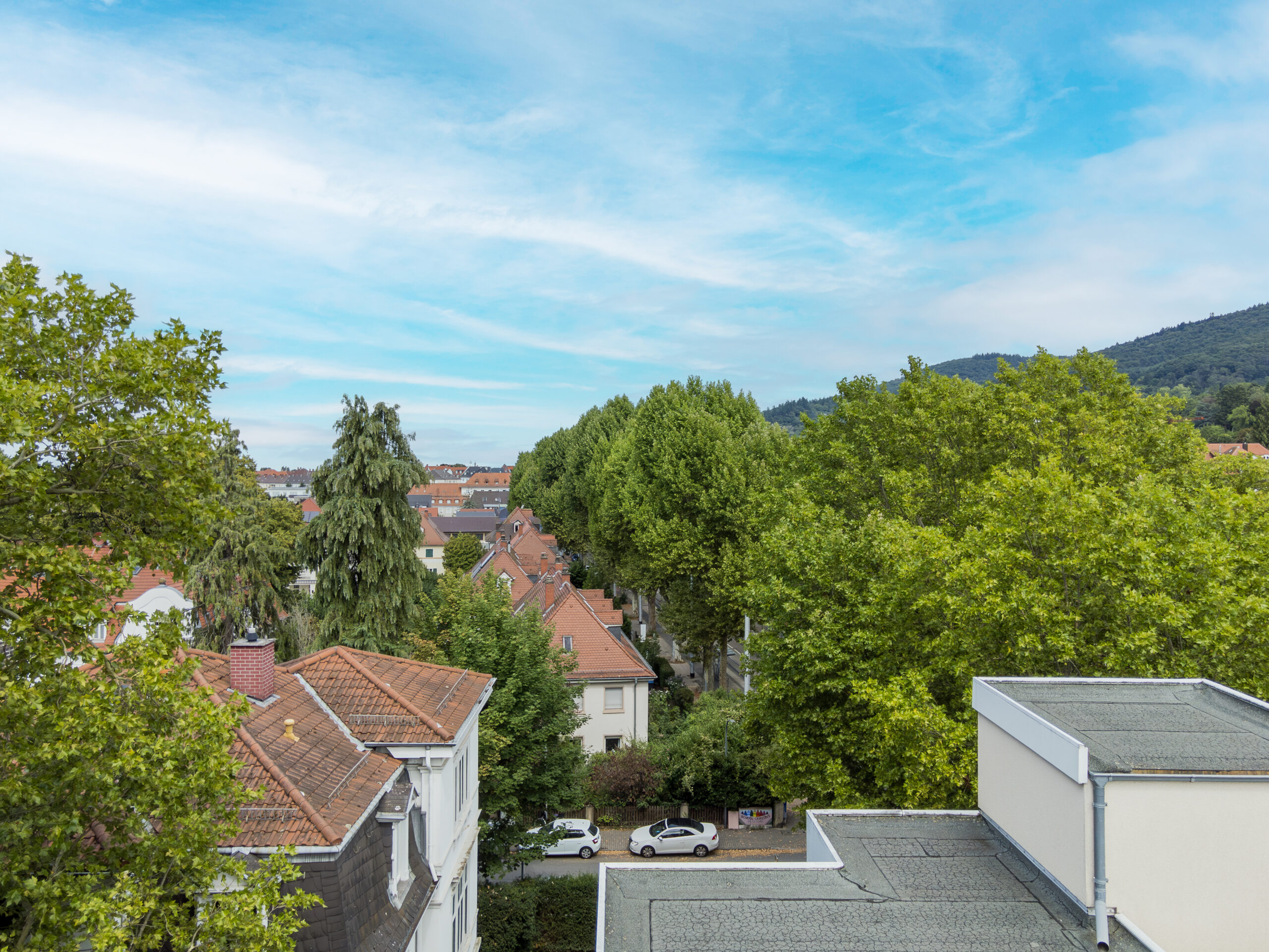 Aussicht ins Grüne von Neuenheim