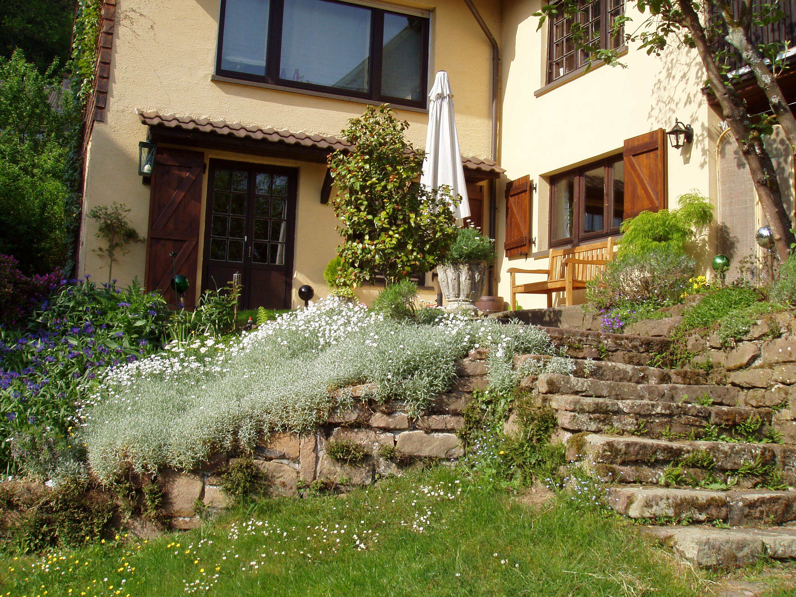 Blick vom Garten hoch zum Haus