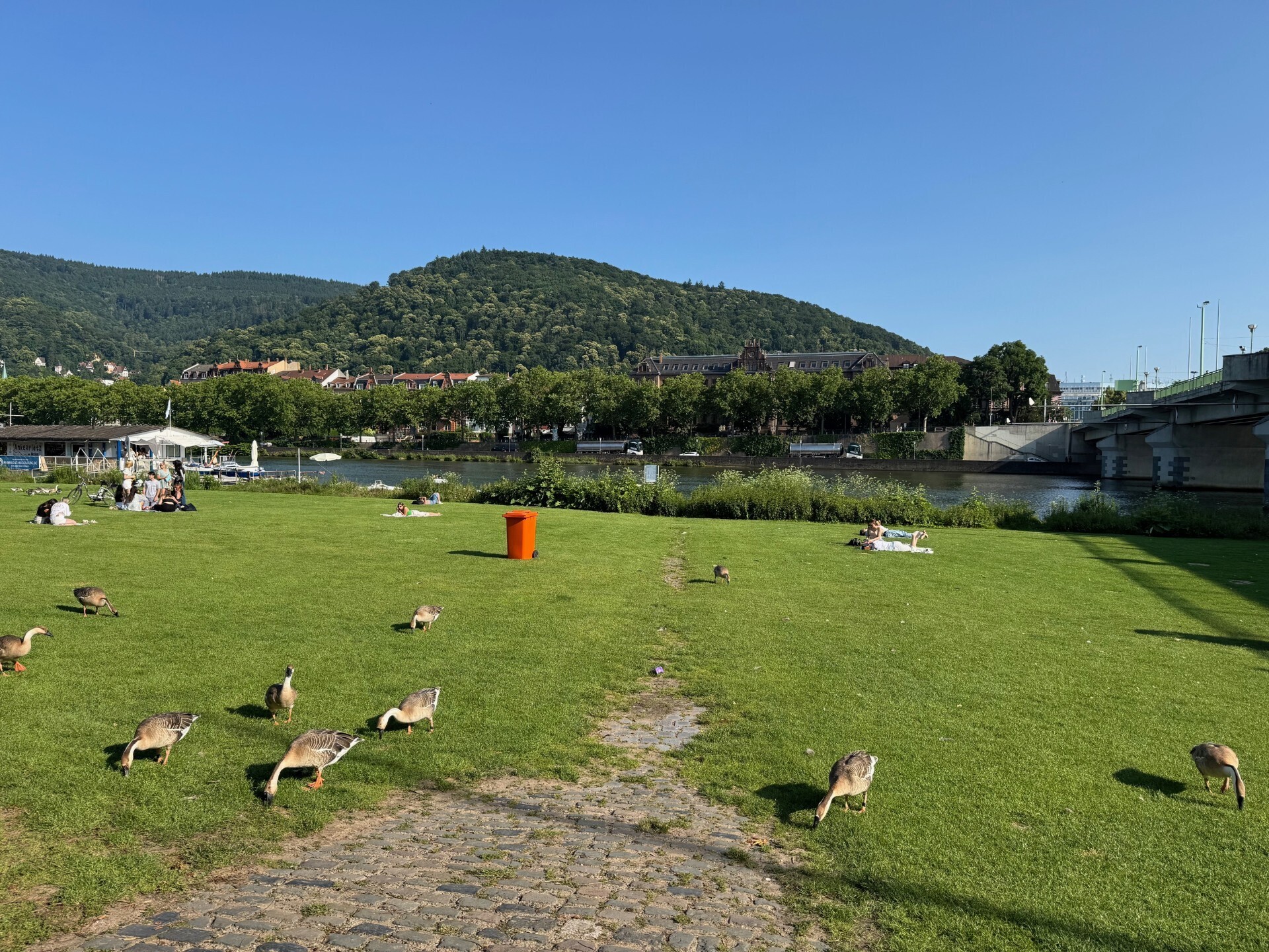 250m Fußweg zur Neckarwiese