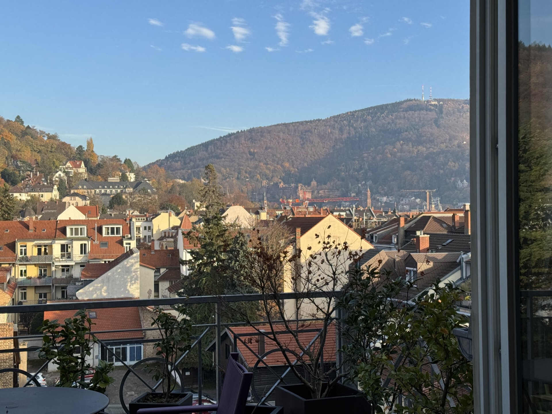 Aussicht auf Heidelberg