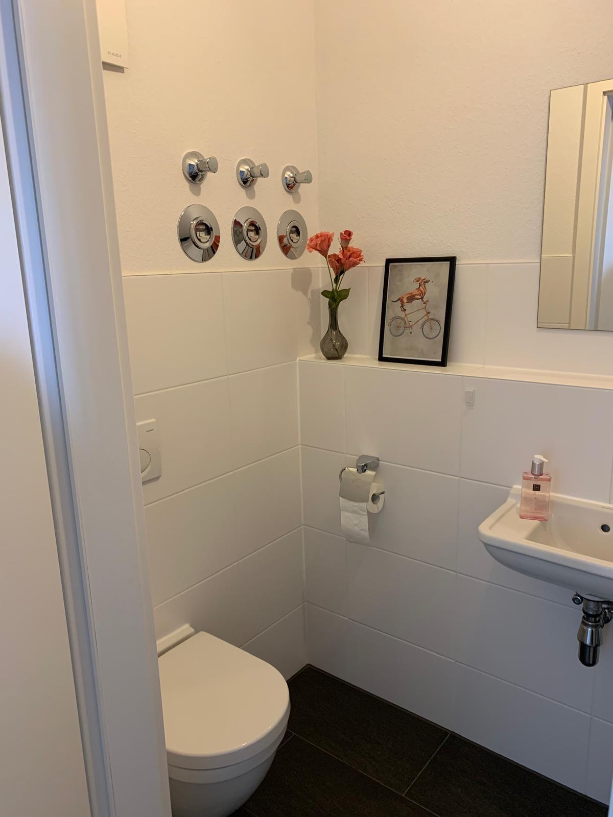 Gäste WC mit Anschluss für Waschmaschine & Trockner