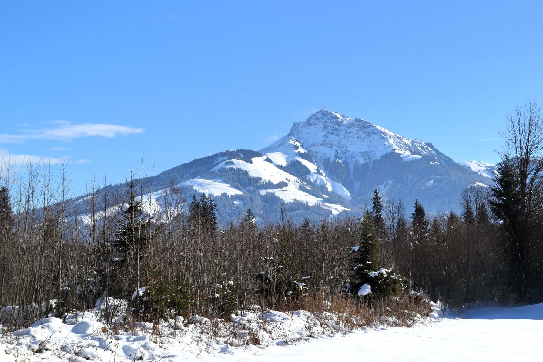 Kitzbühler Alpen