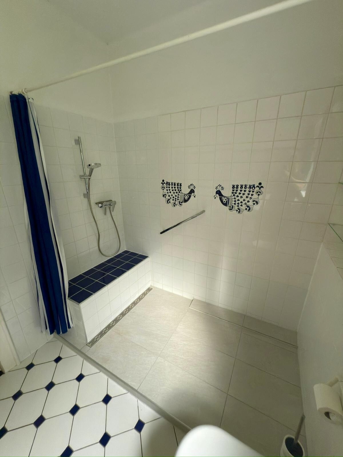 Großzügige Dusche