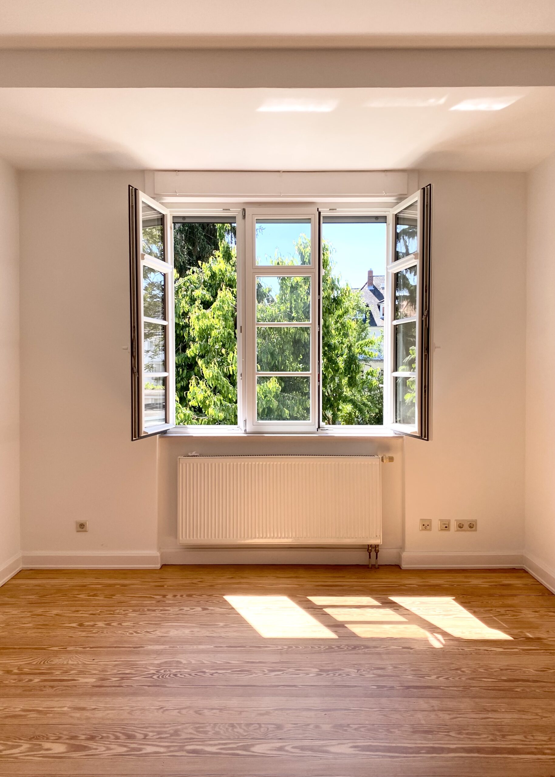 Blick in den Garten