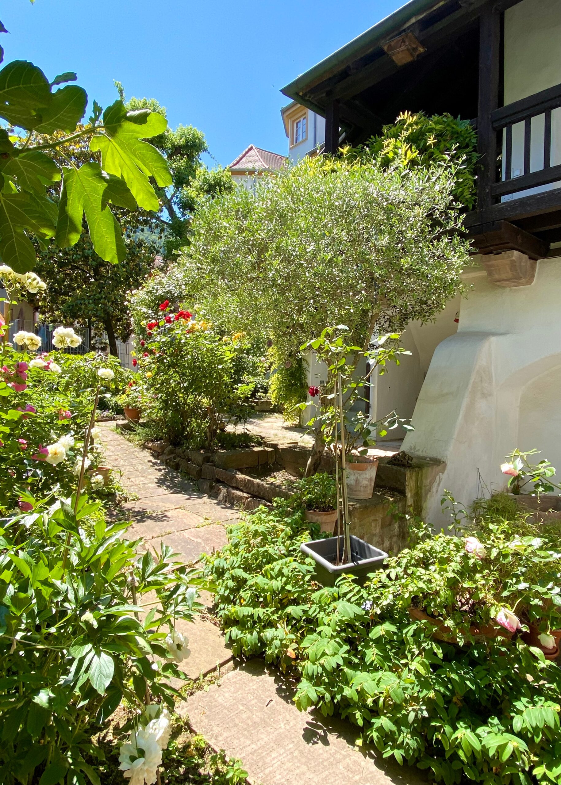 Garten