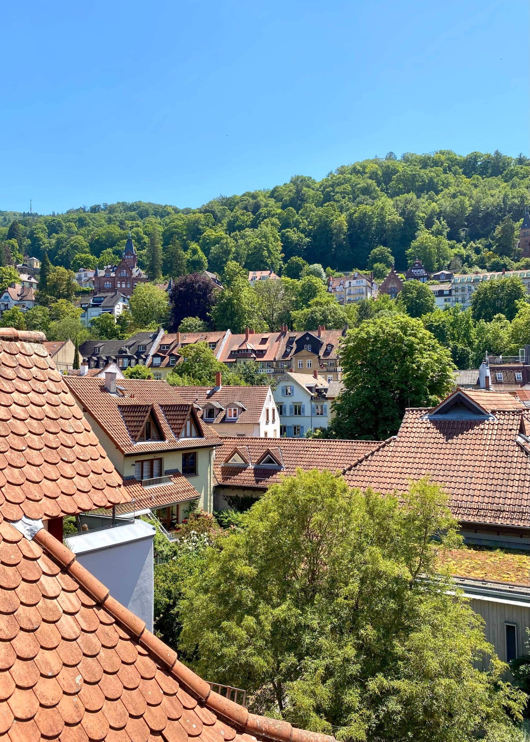Ausblick Loggia