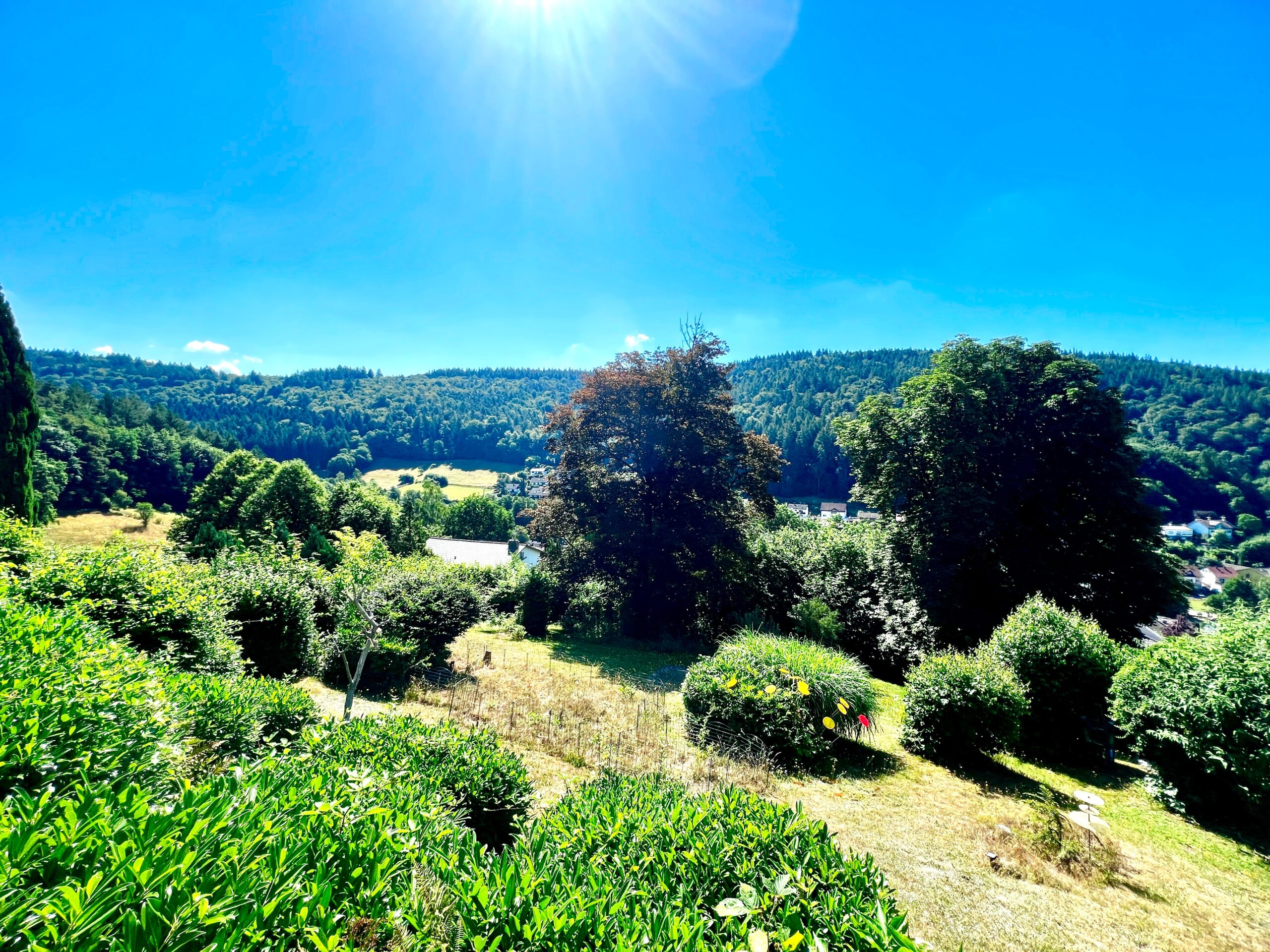 Blick auf Grundstück