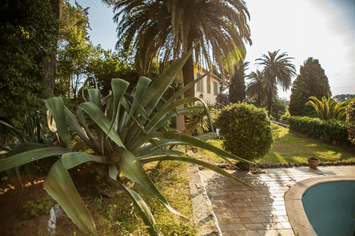 Mediterraner Garten mit Palmen und üppiger Vegetation