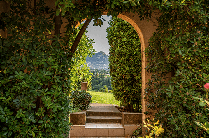 Gepflasterter Weg durch den Garten