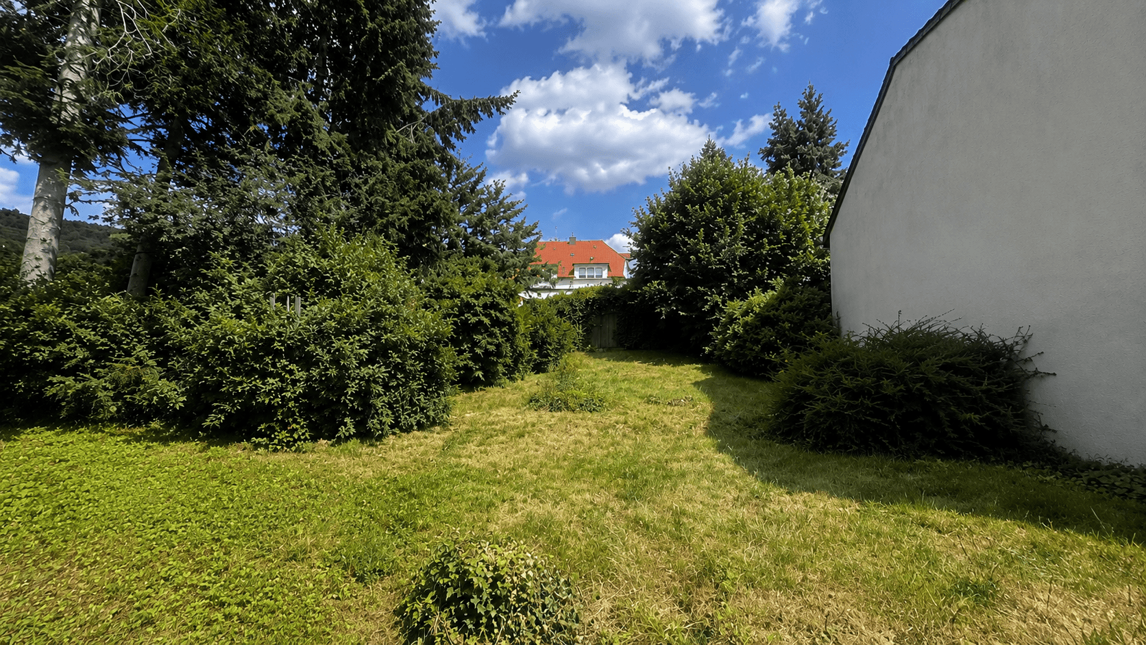 Aktueller Garten