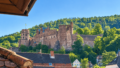 Schlossblick