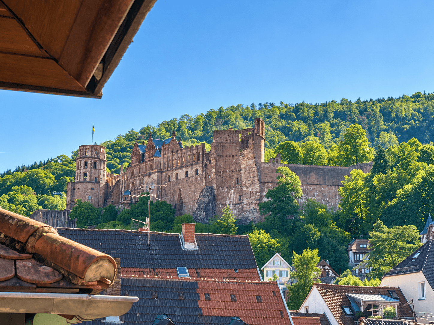 Schlossblick